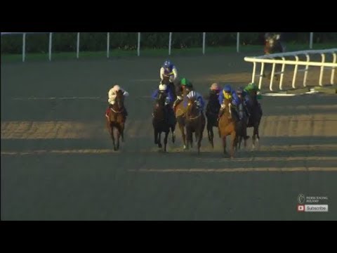 The Irish Stallion Farms EBF Cooley Fillies Stakes (Listed Race) | Dundalk | 27th October 2017