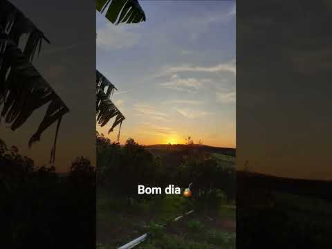 UMA ÓTIMA QUINTA-FEIRA A TODOS VOCÊS!  #deus #paisagensnaturais #mata  #riograndedosul #shorts