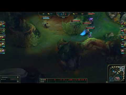 Cosmic Huntress Nidalee