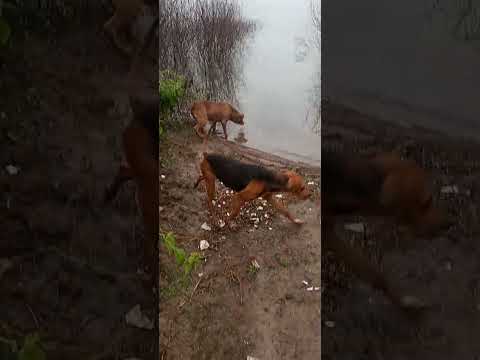 caminadon con los porros p lateral 2 y 3 cadillal Tucumán 🇦🇷🥶🌨️🌨️
