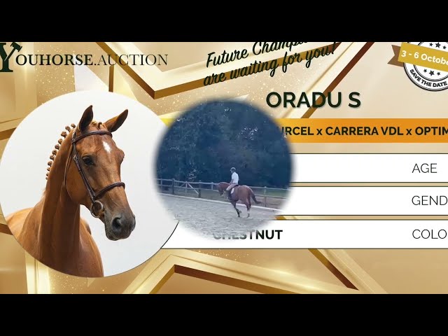 Oradu showvideo outdoor