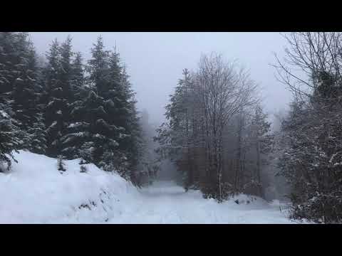 Channeling 096 (Podcast) -  Webinar, mediale Fähigkeiten