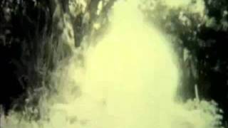 Broadcast and The Focus Group - a Seancing Song