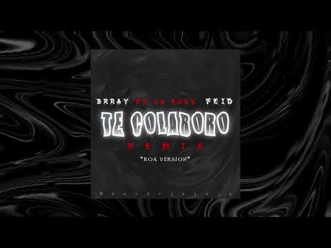 Brray, Feid - Te Colaboro Remix (Ft. Yan Block, De La Rose) (Visualizer)