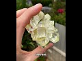Phosphorescent Selenite Flower 🌼