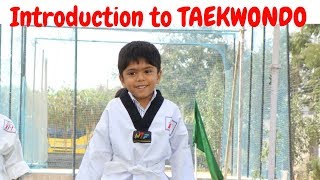 Introduction to Taekwondo Basics for kids