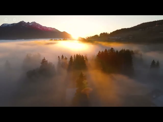 youtube-background