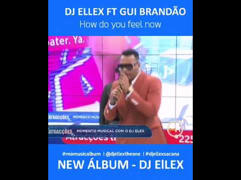 DJ Ellex ft Gui Brandão - How do you feel now