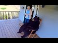 Bears Being Silly And It S Hilarious Make You Won T Stop Laughing