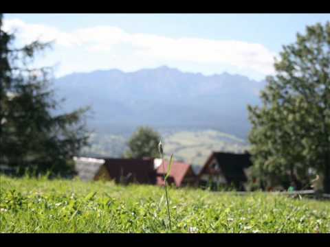 Zbigniew Zamachowski - Starszy pan