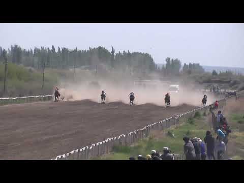 DOÑA MARIA  Club Hipico "Los Olivillos" -   Chimpay - 15 /10/ 2022