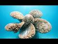 Satisfying Ship Propeller Cleaning ASMR ️ Bright Underwater Restore