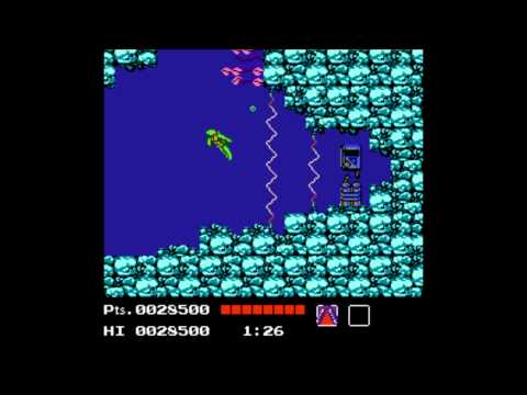 Teenage Mutant Ninja Turtles dam level no damage