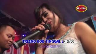 Download lagu Wawa Afriska - Kahanan mp3 Download lagu Wawa Afriska - Kahanan mp3