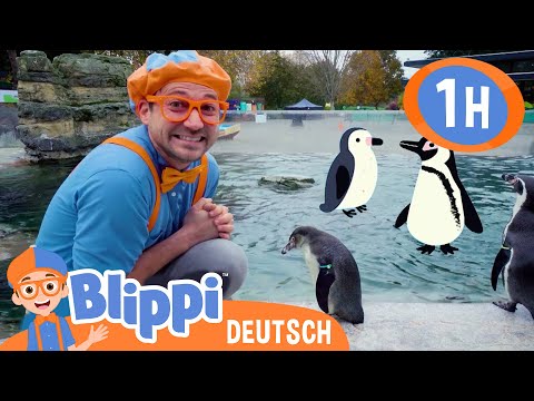 Blippi lernt etwas über tolle Tiere im Zoo | Blippi Deutsch | Abenteuer und Videos für Kinder