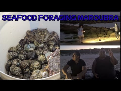 FORAGING ON THE ROCKS AT MAROUBRA WITH OUR FRIENDS FILONESIAN VLOG 43