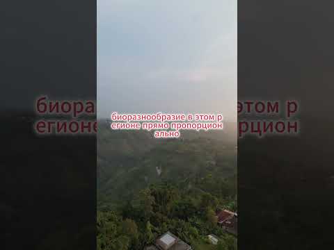 Эта страна имеет город где никогда не прекращается дождь буквально