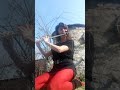 Groovy Flute - Hommage Manu Dibango - Johanna Welter
