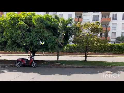 Locales y Bodegas, Venta, Ciudad Bochalema - $310.000.000