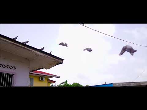 Flanka x Peng - Darkness Rise (Official Video)