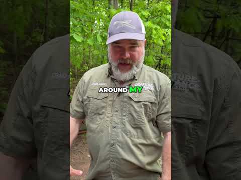 Tick Prevention: Simple Steps for a Tick-Free Season