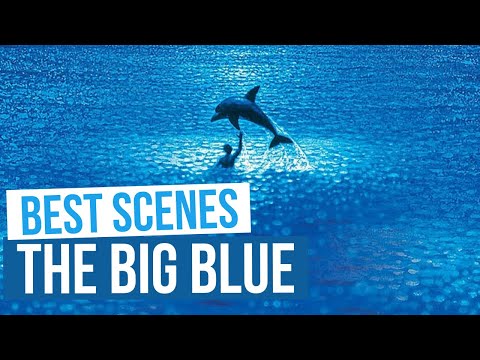 THE BIG BLUE | Best Scenes