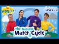 The Natural Water Cycle The Wiggles Sydney Water