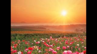 Mind Trick - Jamie Cullum -