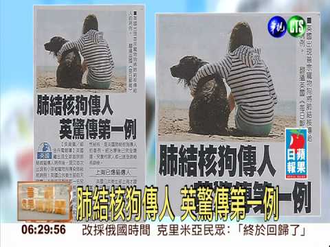 肺結核狗傳人 英驚傳第一例