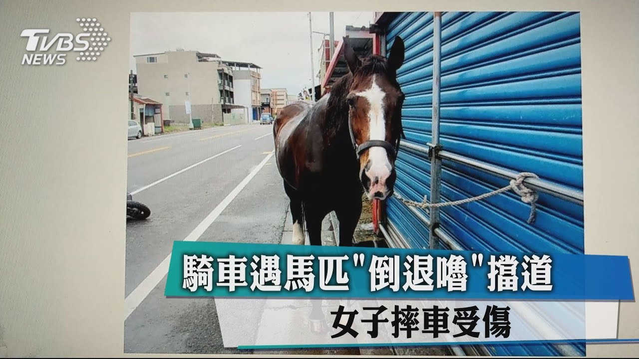 騎車遇馬匹「倒退嚕」擋道 女子摔車受傷