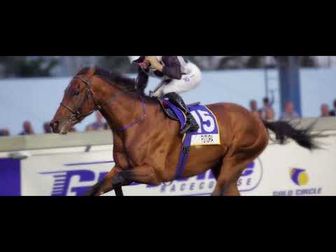 Futura – Breeding To Win 2019