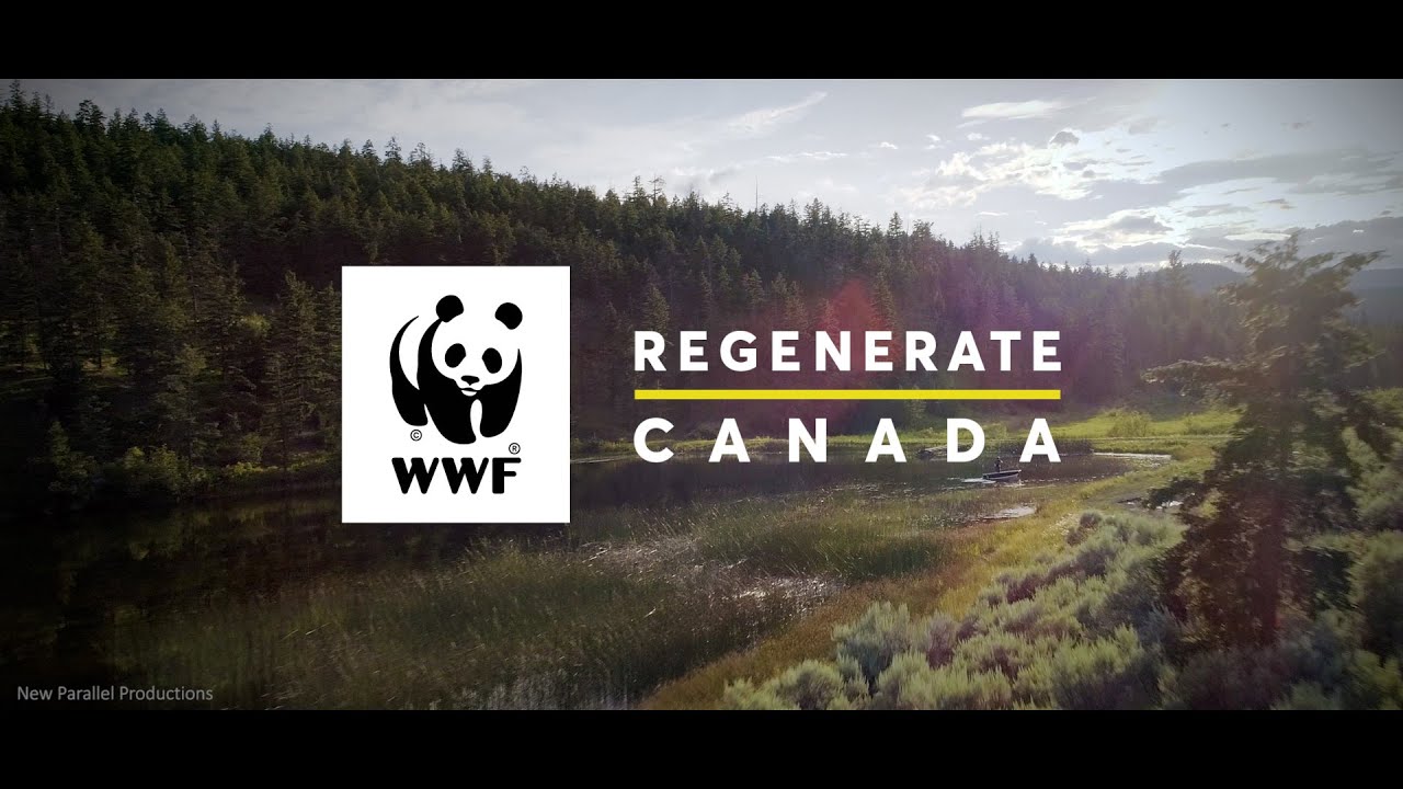 We Can Reverse What Seems Irreversible