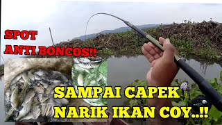 Download lagu JAMINAN PANEN KALAU MANCING DISINI,SPOT MANCING IKAN NILEM PALING ANTI BOCOSSS..... mp3 Download lagu JAMINAN PANEN KALAU MANCING DISINI,SPOT MANCING IKAN NILEM PALING ANTI BOCOSSS..... mp3