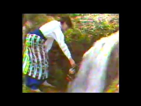 Arif Demiri - Cauco mori cauco me blluzën e bardhë