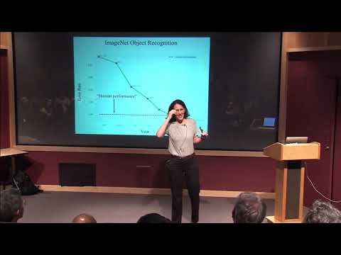 Melanie Mitchell:  "Can Analogy Unlock AI’s Barrier of Meaning"