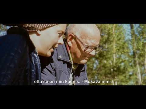 Urho Kekkonen - Viimeiset vuodet