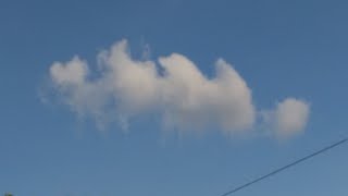 | End of Silence - Tear down the Bridges |