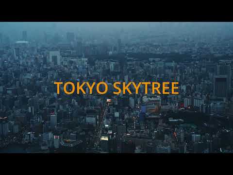 Last 24 Hours in Tokyo: Rainy Night & Iconic Sights | Street Photography & Tokyo Sky Tree