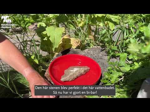 Så här gör du din egen bi-bar