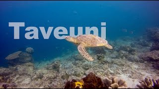 preview picture of video 'Fiji | Scuba Diving Taveuni'