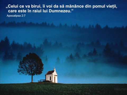 SORA VETUTA HANIS - VEDENIE 2015