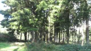 preview picture of video 'Idless Woods, near Truro, Cornwall'