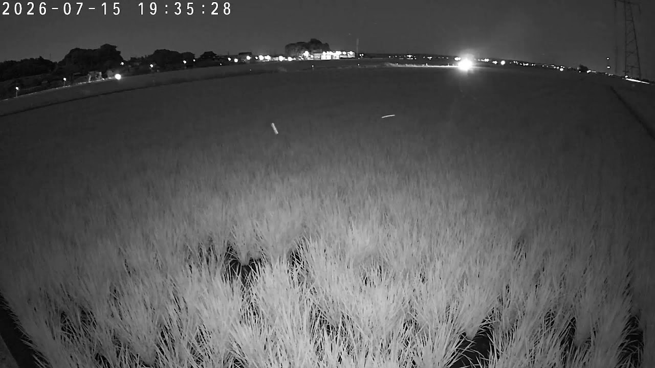 Live webcam view of Rice Paddy Fields Live