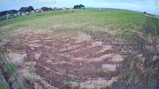 Ibaraki · Ibaraki Rice field live camera Ibaraki · Rice field live stream
