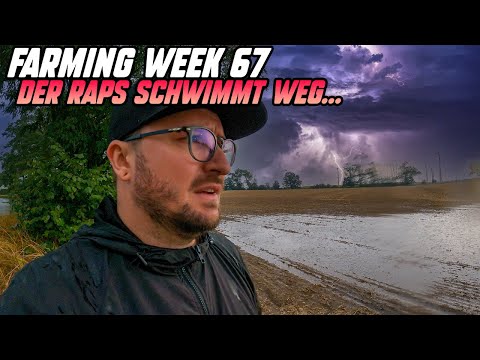 Farming Week 67 | Zu viel Wasser in 3 Stunden | Der Raps säuft ab
