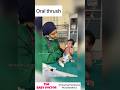 White patches in oral cavity of a newborn | oral thrush #newborn #babyvideos #ytshorts #drlavanya