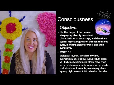 Sleep Stages and Sleep Disorders