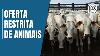 Miniatura do vídeo