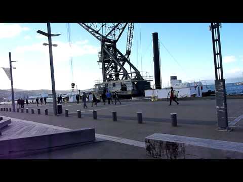Wellington waterfront + cute old musician