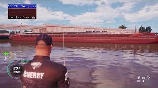 Bassmaster Fishing 2022